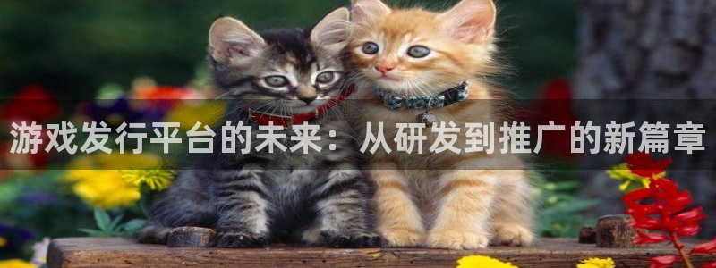 亿万28lvnces是什么档次：游戏发行平台的未来：从研发到推广的新篇章