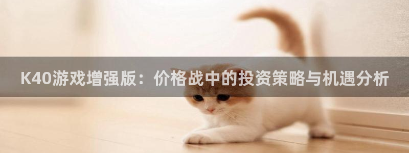 广东亿万28电子科技有限公司 联系电话：K40游戏增强版：价格战中的投资策略与机遇分析