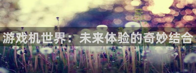 亿万28子教育科技(江门)有限公司：游戏机世界：未来体验的奇妙结合