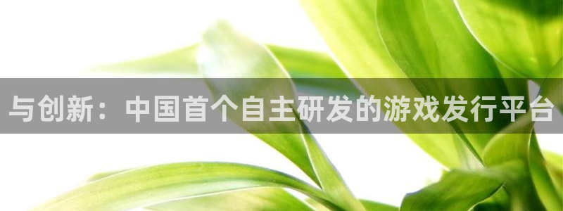 陕西亿万28子文化创意有限公司有什么游戏：与创新：中国首个自主研发的游戏发行平台