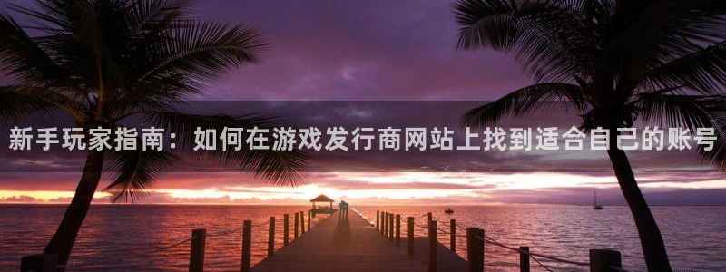 长沙亿万28子电子商务有限公司：新手玩家指南：如何在游戏发行商网站上找到适合自己的账号