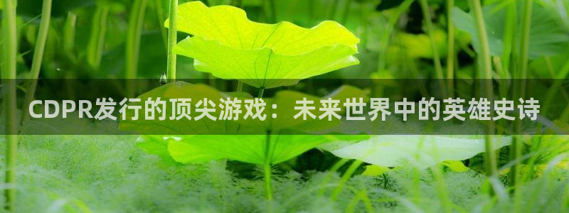 佛山亿万28电子商务：CDPR发行的顶尖游戏：未来世界中的英雄史诗