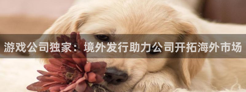 广州亿万28网络科技有限公司怎么样：游戏公司独家：境外发行助力公司开拓海外市场