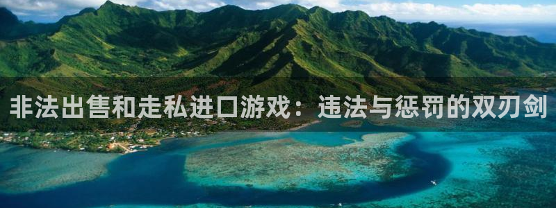 亿万28官网平台怎么样啊：非法出售和走私进口游戏：违法与惩罚的双刃剑