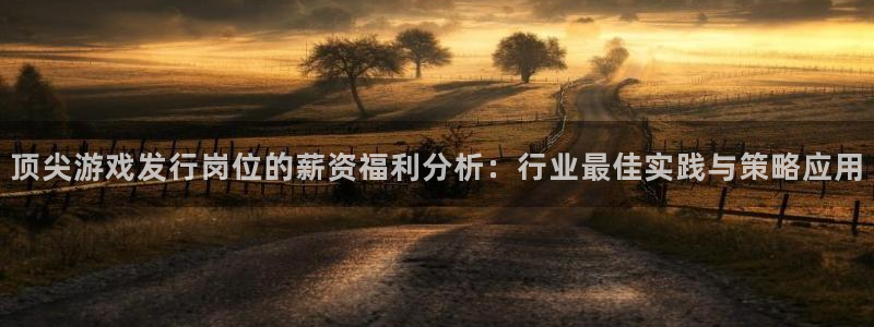 江苏亿万28智得新材料有限公司：顶尖游戏发行岗位的薪资福利分析：行业最佳实践与策略应用
