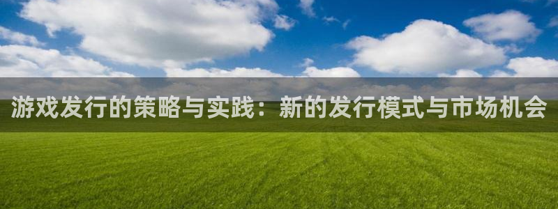 亿万28子文化有什么游戏：游戏发行的策略与实践：新的发行模式与市场机会