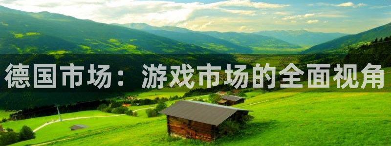 亿万28官网的奇趣腾讯是真的吗还是假的：德国市场：游戏市场的全面视角