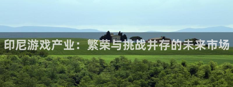 亿万28官网注册平台怎么注册不了：印尼游戏产业：繁荣与挑战并存的未来市场