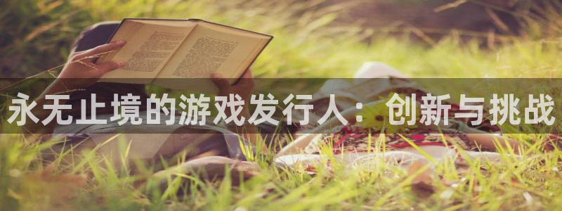 亿万28子股价：永无止境的游戏发行人：创新与挑战