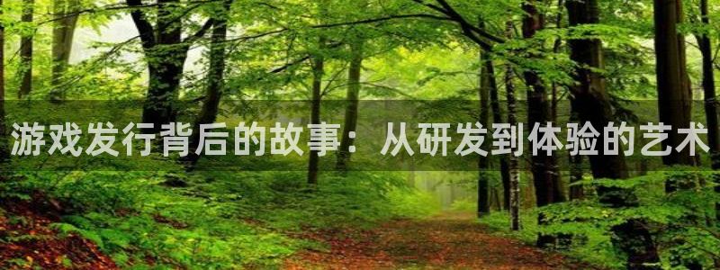 佛山亿万28：游戏发行背后的故事：从研发到体验的艺术