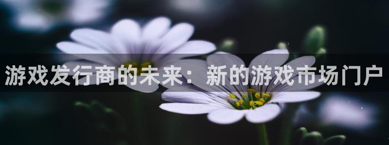 亿万28干红葡萄酒750毫升多少钱：游戏发行商的未来：新的游戏市场门户