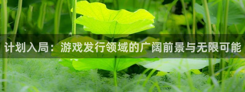 亿万28官网注册方法：计划入局：游戏发行领域的广阔前景与无限可能