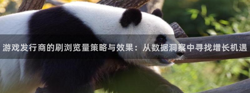 陕西亿万28子文化公司有什么游戏：游戏发行商的刷浏览量策略与效果：从数据洞察中寻找增长机遇