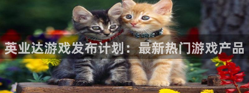 亿万28官网官网注册账号是什么：英业达游戏发布计划：最新热门游戏产品