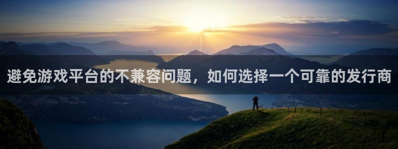 亿万28红酒怎么样：避免游戏平台的不兼容问题，如何选择一个可靠的发行商