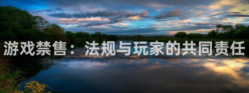 亿万28官网注册方法：游戏禁售：法规与玩家的共同责任