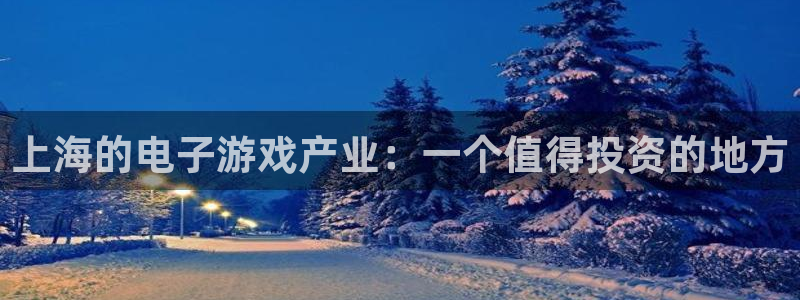 亿万28官网是什么娱乐?：上海的电子游戏产业：一个值得投资的地方