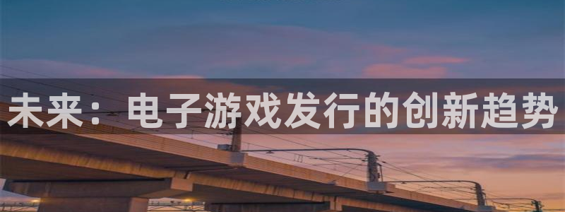 亿万28官网登录注册失败：未来：电子游戏发行的创新趋势