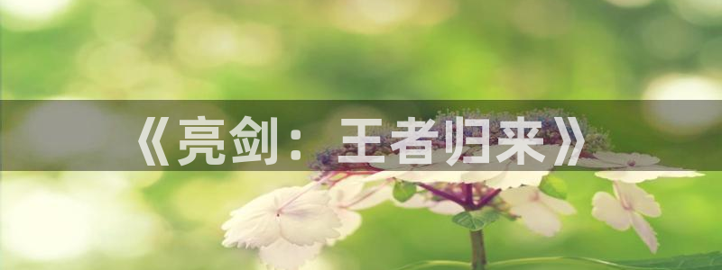 亿万28品牌logo：《亮剑：王者归来》