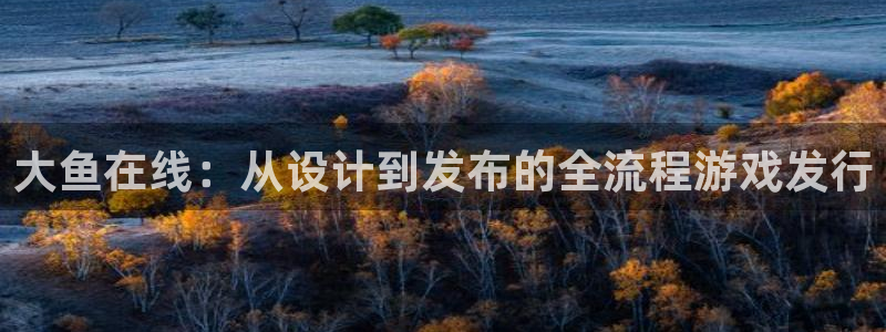 亿万28品牌策划：大鱼在线：从设计到发布的全流程游戏发行