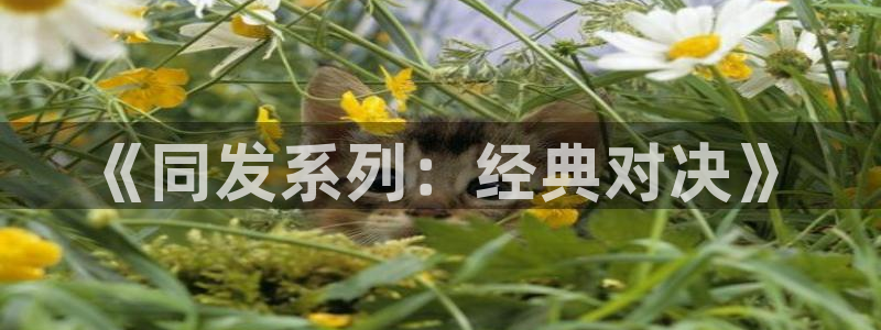 亿万28子公司怎么样